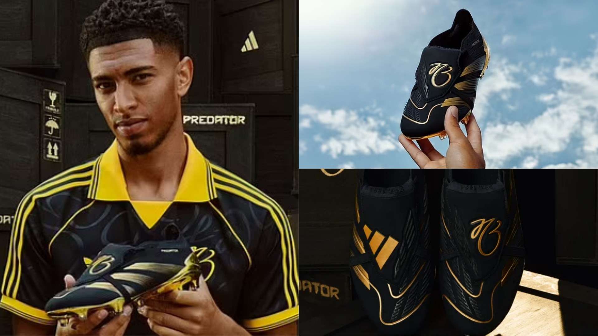 未来展望 未来展望